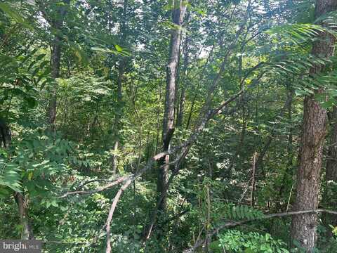 JAYBIRD LANE, HEDGESVILLE, WV 25427