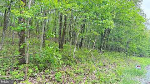 182 SALEM MOUNTAIN RD, CARBONDALE, PA 18407