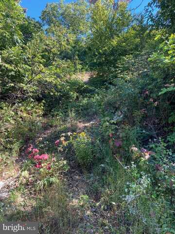 951 BOBCAT TRAIL, WINCHESTER, VA 22602