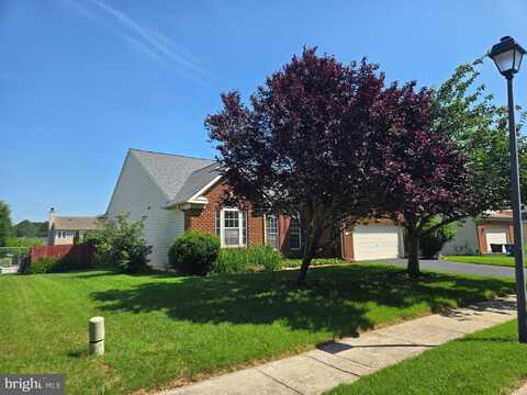 135 WALNUT STREET, RIDGELY, MD 21660