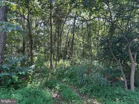 SYMPHONY LANE, HARPERS FERRY, WV 25425