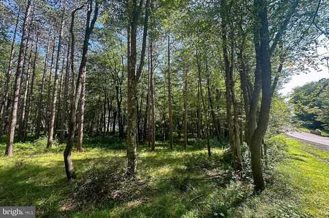 LOT 25 HOLY CROSS DRIVE, OAKLAND, MD 21550
