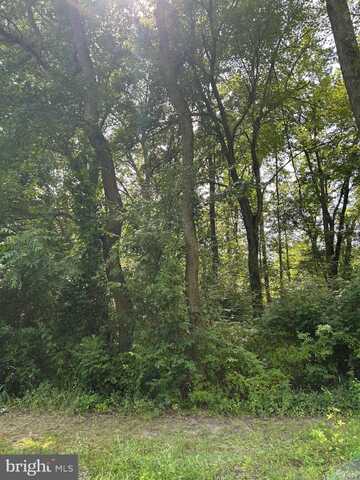 CHESTERVILLE FOREST ROAD, MILLINGTON, MD 21651