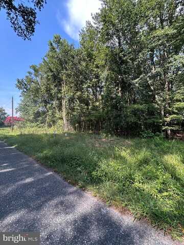 CHESTERVILLE FOREST ROAD, MILLINGTON, MD 21651