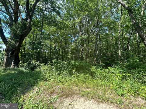 CHESTERVILLE FOREST ROAD, MILLINGTON, MD 21651