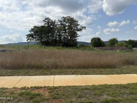 Lot 20 Glaze Farm Way, Johnson City, TN 37601
