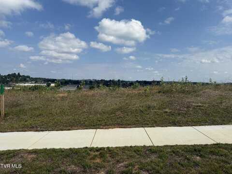 Lot 29 Glaze Farm Way, Johnson City, TN 37601