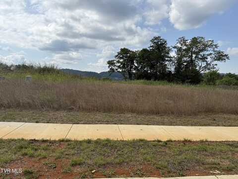 Lot 19 Glaze Farm Way, Johnson City, TN 37601