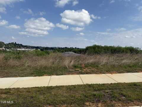 Glaze Farm Way lot: 28, Johnson City, TN 37601