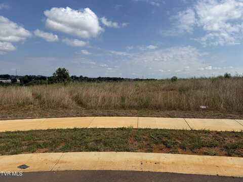 Lot 25 Glaze Farm Way, Johnson City, TN 37601