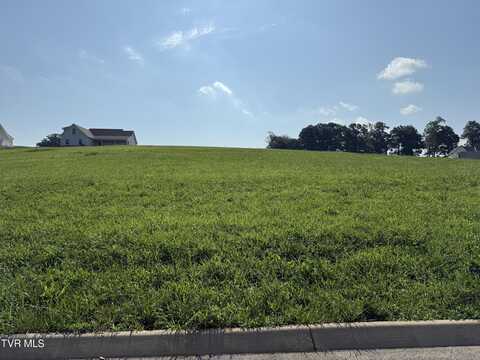 Lot 50 Unlce Buddy's Way, Jonesborough, TN 37659