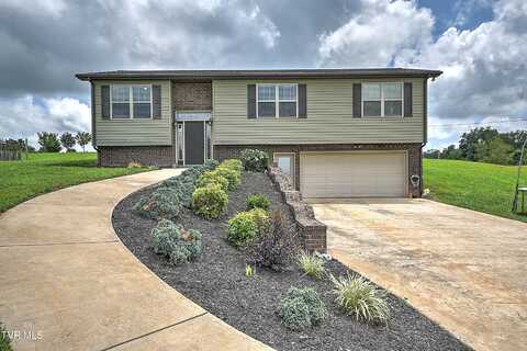 114 Choctaw Drive, Chuckey, TN 37641