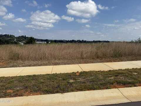 Lot 27 Glaze Farm Way, Johnson City, TN 37601