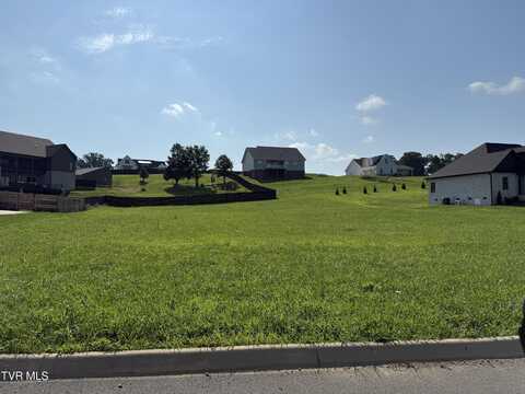 Lot 47 Unlce Buddy'S Way, Jonesborough, TN 37659
