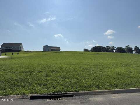Lot 49 Unlce Buddy's Way, Jonesborough, TN 37659