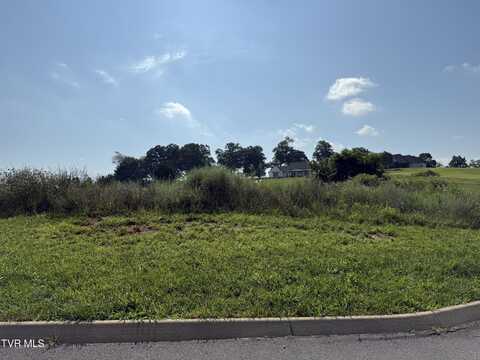 Lot 52 Unlce Buddy's Way, Jonesborough, TN 37659