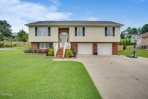 148 Meadow Springs Lane, Mount Carmel, TN 37645