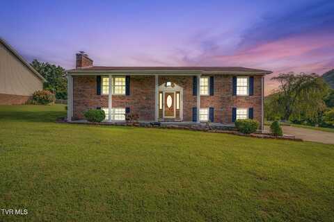 302 Carol Hill Drive, Blountville, TN 37617