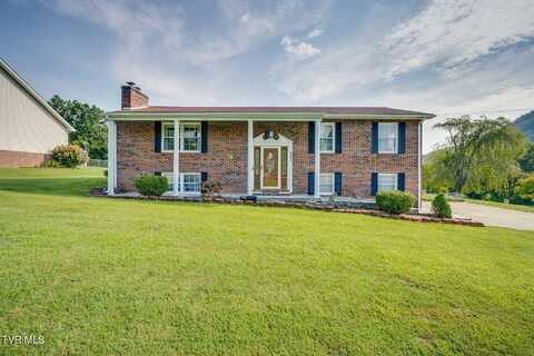 302 Carol Hill Drive, Blountville, TN 37617