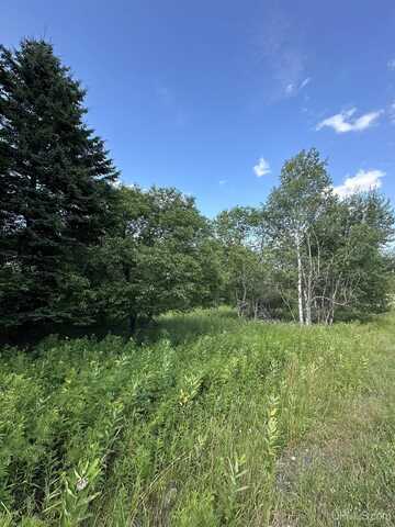 TBD Blossom, Iron River, MI 49935