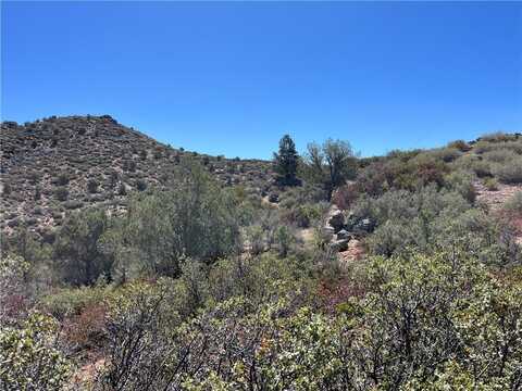 135 N Velvet Antler Road, Kingman, AZ 86401