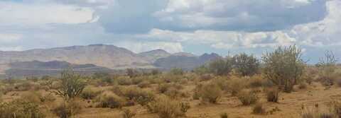 APN 333-01-137, Hackberry, AZ 86411