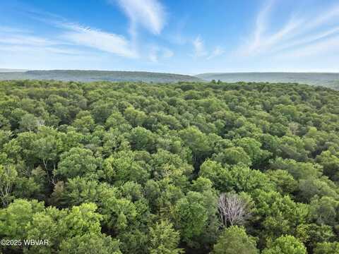 0196 ROUTE 487, Lopez, PA 18628