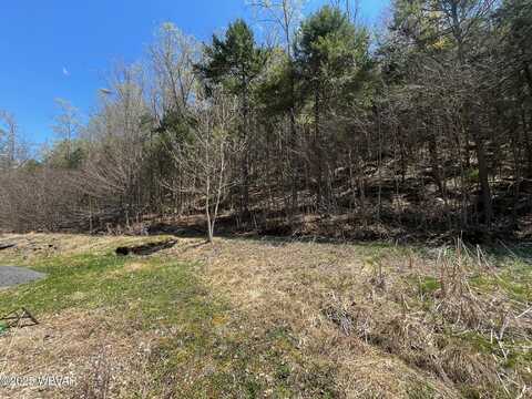 14790 HWY ROUTE 87, Williamsport, PA 17701