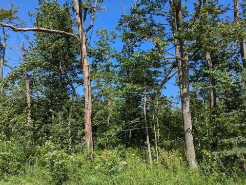 Timber Road, Calmar, IA 52132