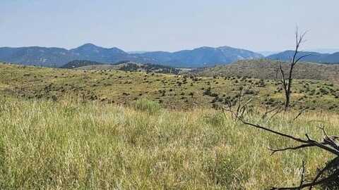 TBD L 32nd Trail, Cotopaxi, CO 81223