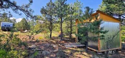 1418 Aspen Trail Rd, Westcliffe, CO 81252