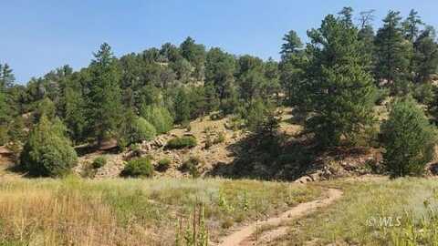 553 Coyote Run, Cotopaxi, CO 81223