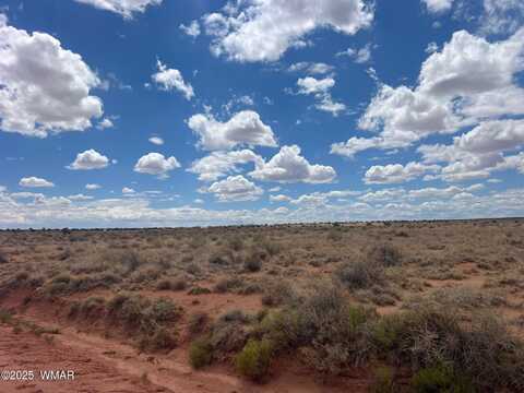 8358 Terry Trail, Snowflake, AZ 85937