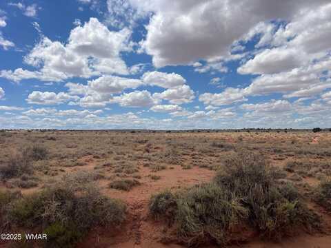 8357 Terry Trail, Snowflake, AZ 85937
