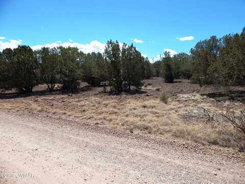 8337 Navajo Drive, Show Low, AZ 85901