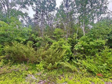 Misty Morning Court lot: 41, Presque Isle, MI 49777