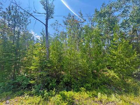 North Bay lot: 64, Presque Isle, MI 49777