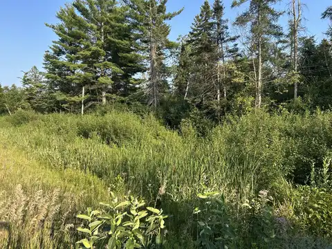 V/L W M-32, Alpena, MI 49707