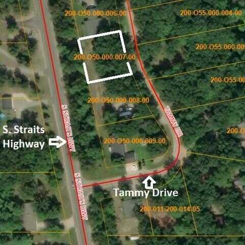 7402 Tammy Drive, Indian River, MI 49749
