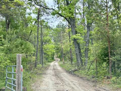 N Townline Road, Lewiston, MI 49756