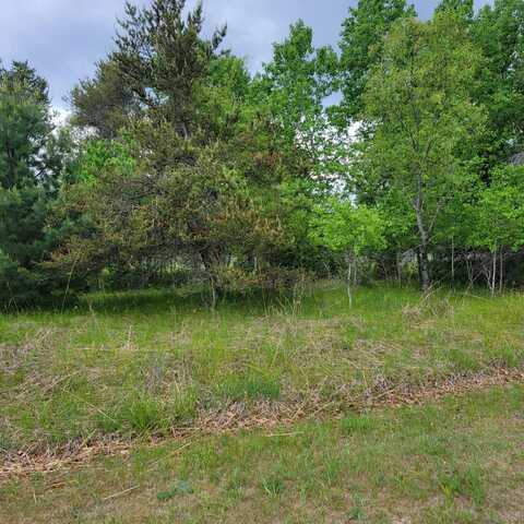 Otter Drive lot: 61, Saint Helen, MI 48656