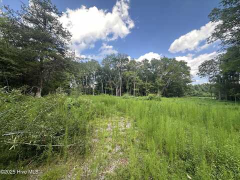 1306 Us 258, Como, NC 27818