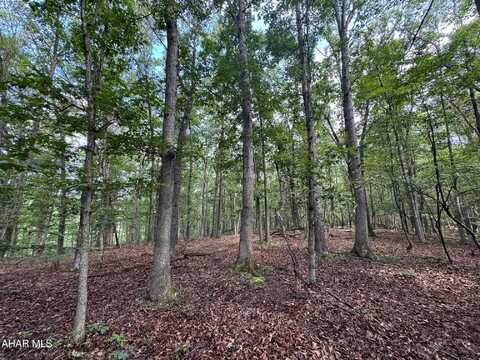 Off Tulls Hill Road, Manns Choice, PA 15550