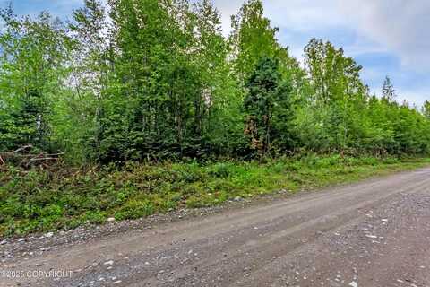 47100 S Bitin Drive, Willow, AK 99688
