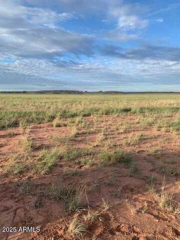 Tbd 45 ACRES --, Saint Johns, AZ 85936
