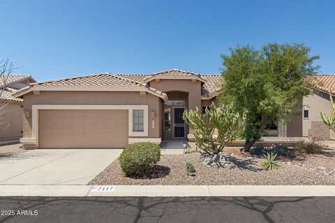 7117 E MARIOLA Court, Gold Canyon, AZ 85118