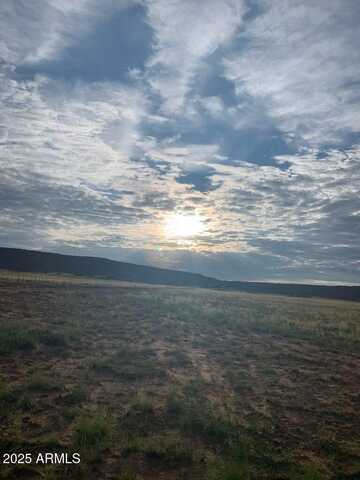 Tbd 41 ACRES --, Saint Johns, AZ 85936