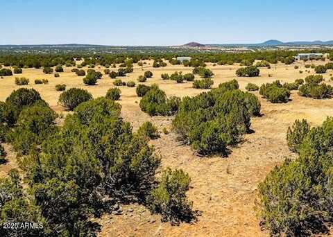 8692 SUPANCHECK Road, Show Low, AZ 85901