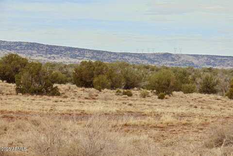 Tbd County Rd 5407 204-50-330A --, Concho, AZ 85924