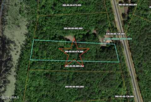 Tbd Green Pond, Walterboro, SC 29488